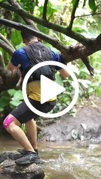 BIB:  <button type="button" onclick="openModal(27825564)" class="btn btn-primary btn-sm float-right" data-toggle="modal" data-target=".modal-high-quality">
                <i class="fa fa-download"></i> Download
                </button>